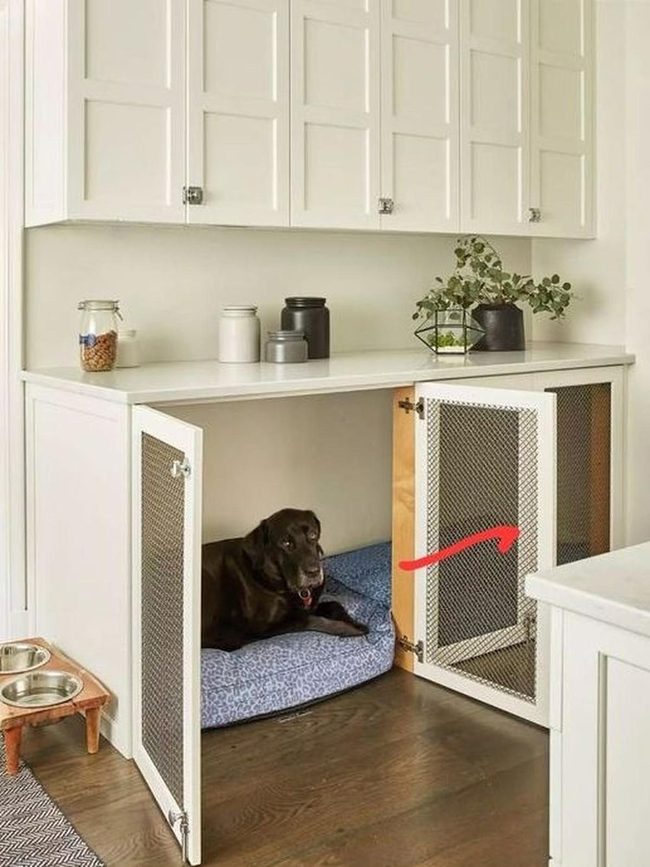 Blue Pet Nook Under Counter