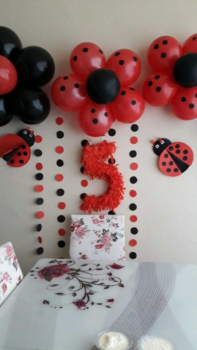 Red And Black Ladybug Fifth