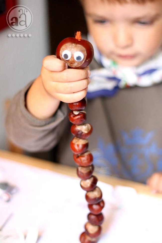 Googly-Eyed Chestnut Creatures