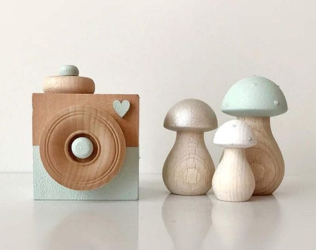 Wooden Camera With Mushroom Friends
