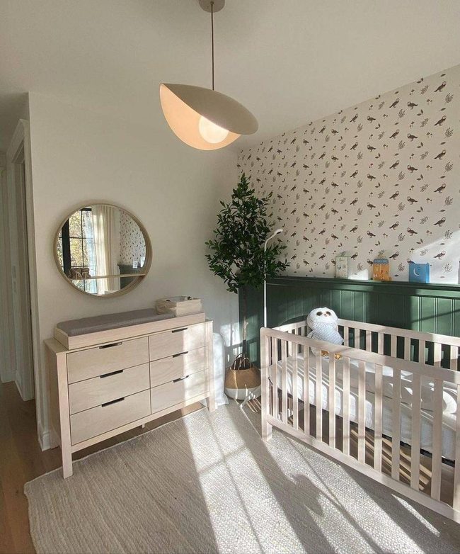 Green Beadboard Nursery with Colorful Bird Walls
