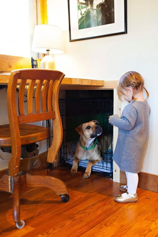 Natural Wood Interior With Dog Crate