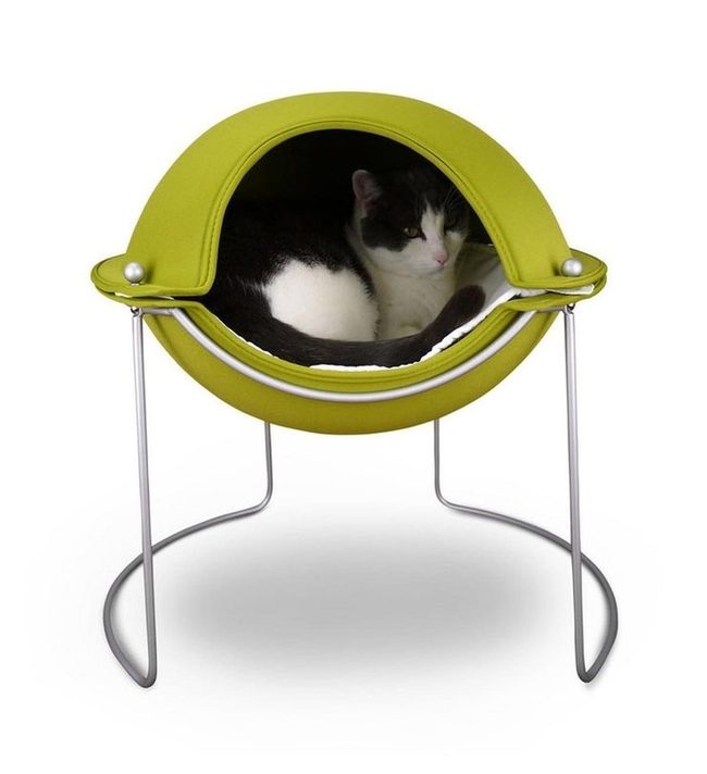 Lime Green Modern Cat Pod
