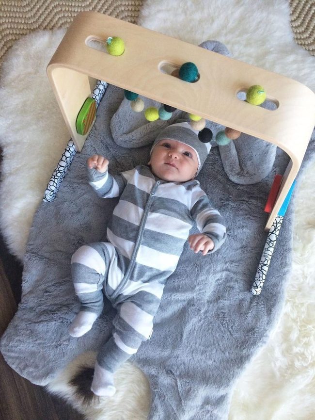 Gray Wooden Baby Gym