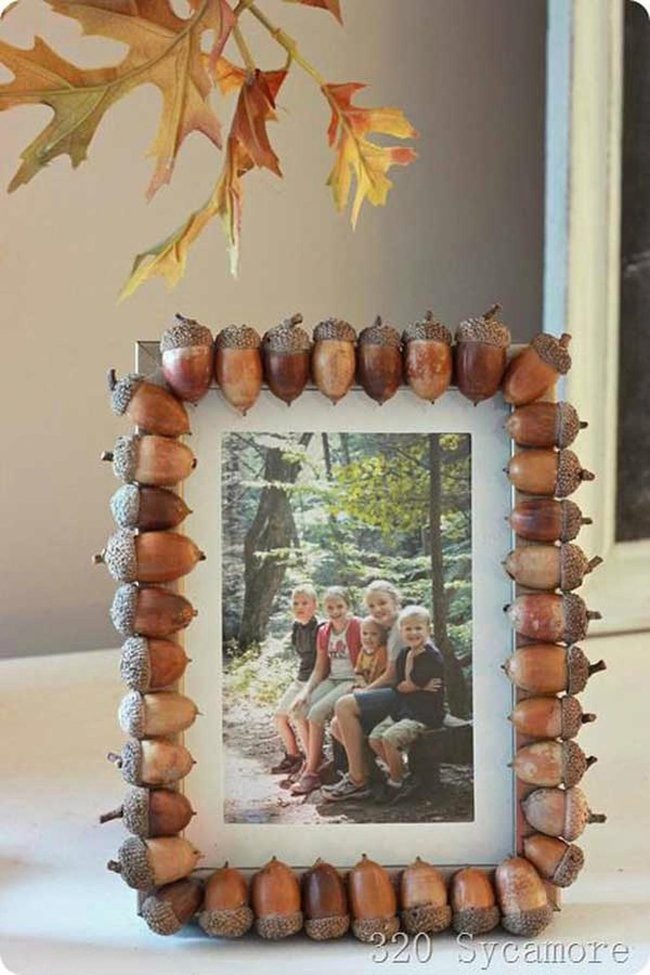Golden Acorn Frame Border