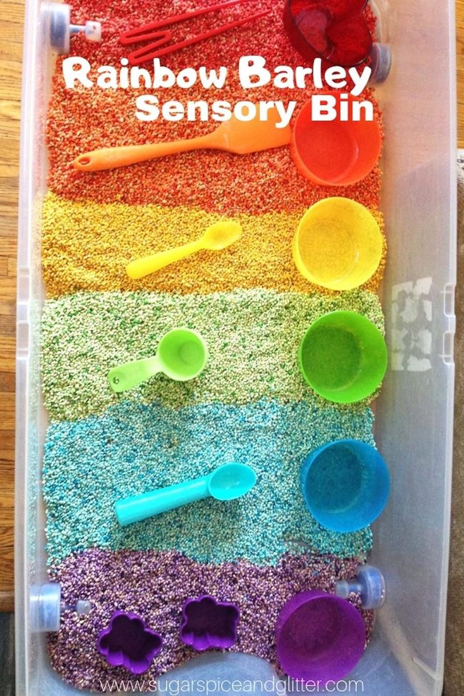 Colorful Barley Grain Sensory Bins