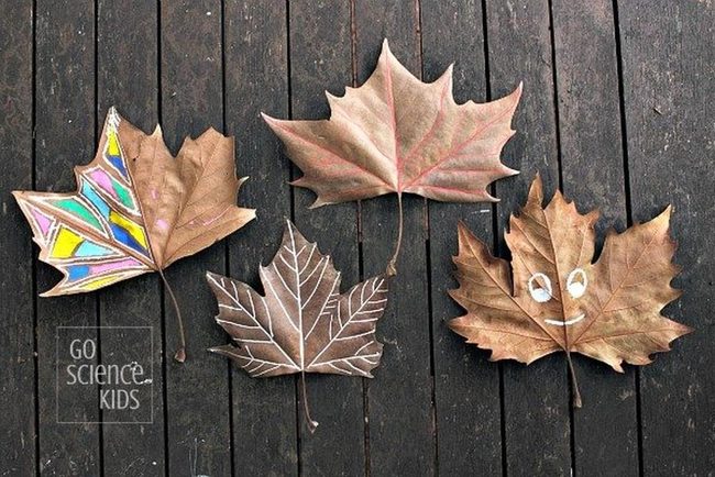 Autumn Leaves, Painted Veins