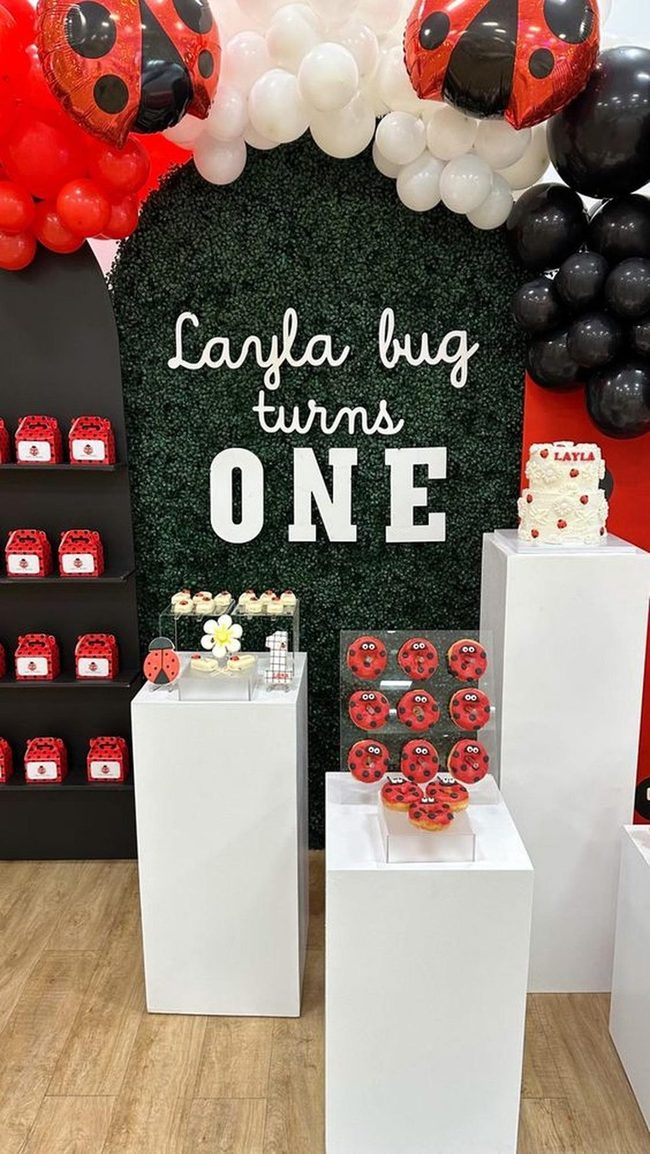 Red And Black Ladybug Celebration