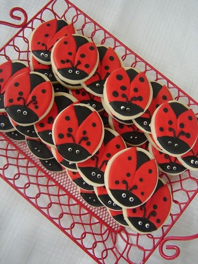 Red Spotted Cookie Beetles