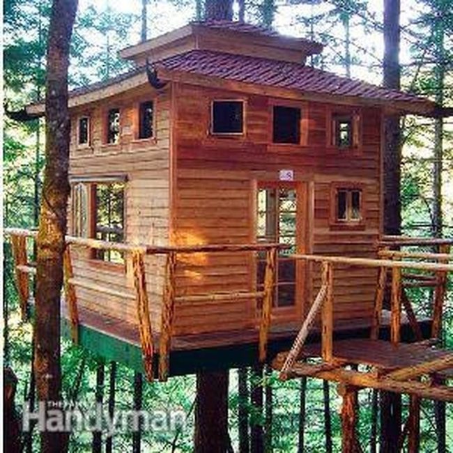 Canopy Hideaway, Wood And Shadow
