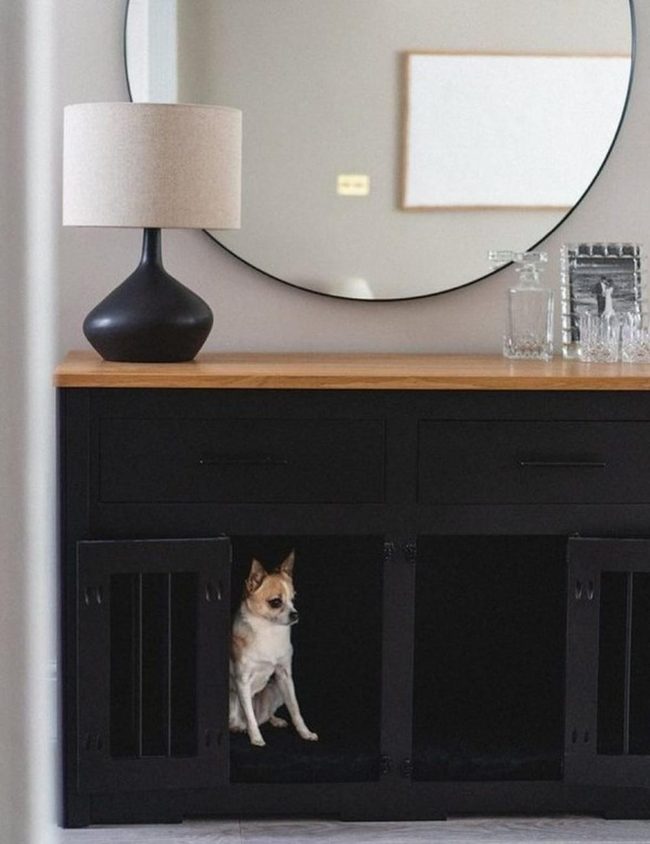 Mirror Cabinet With Sleeping Puppy