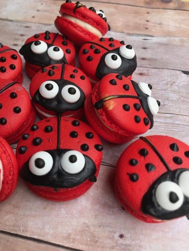Red Spotted Macaron Beetles
