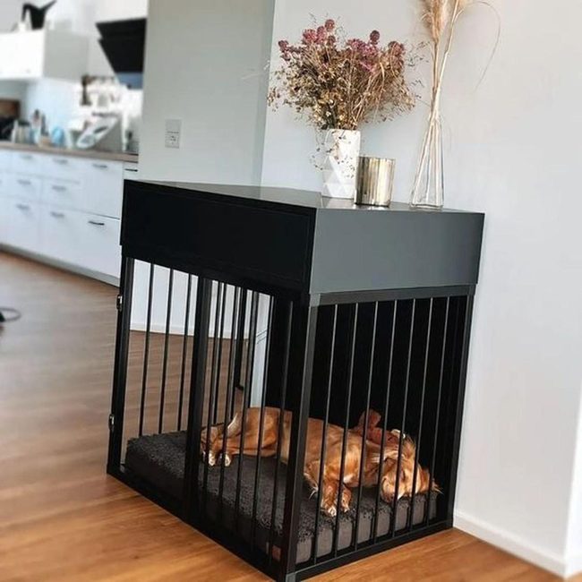 Black Dog Crate, Minimalist Interior