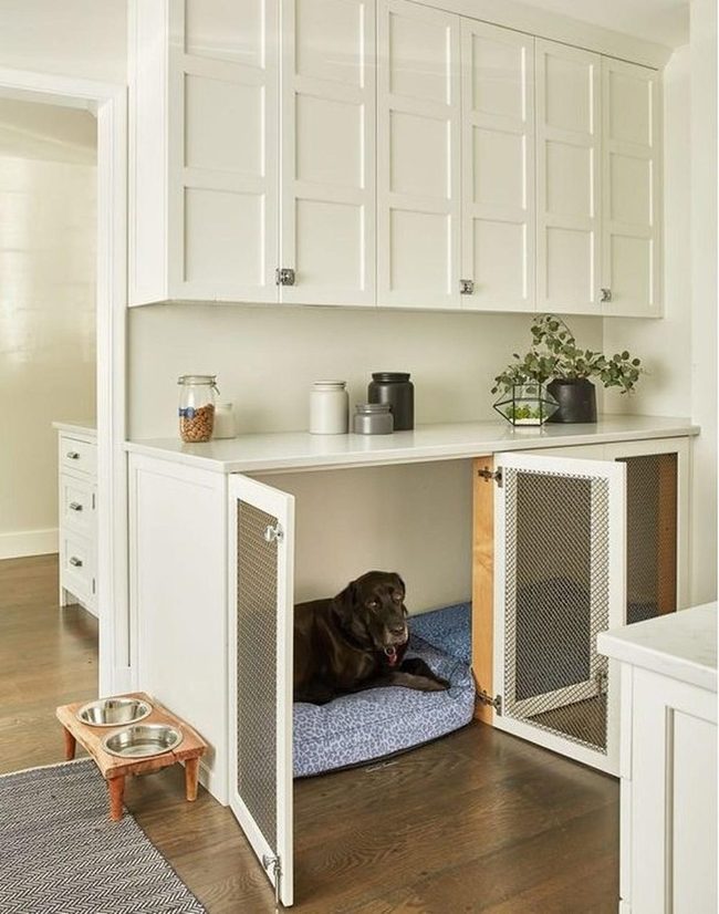 White Ceilings, Peaceful Pet Nook