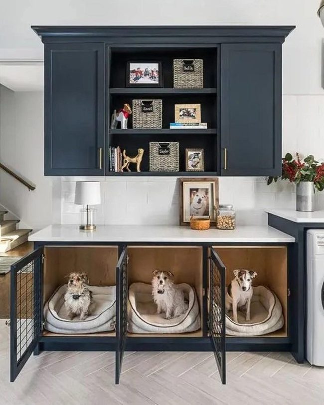 Dark Blue Cabinets, Dog Haven