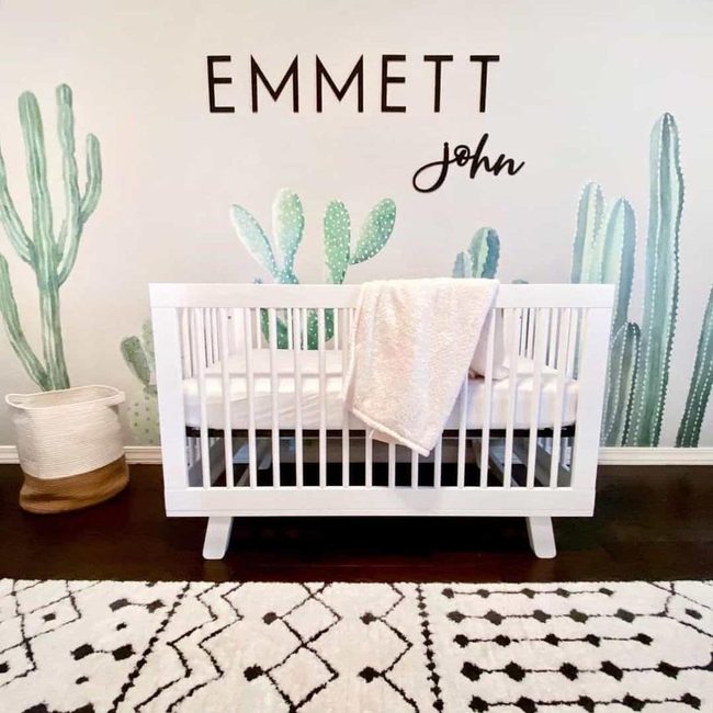 Cactus Accent Wall Nursery