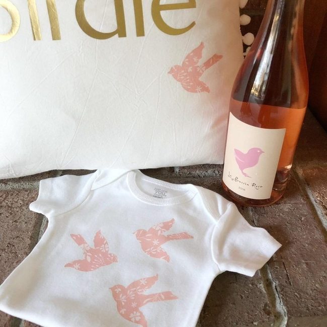Pink Birds On Stone