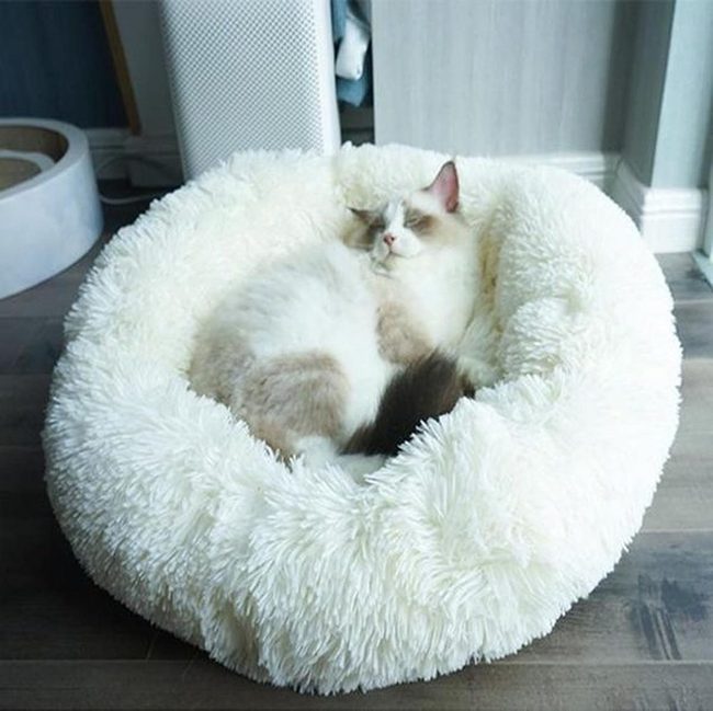 White Cloud Bean Bag Sanctuary