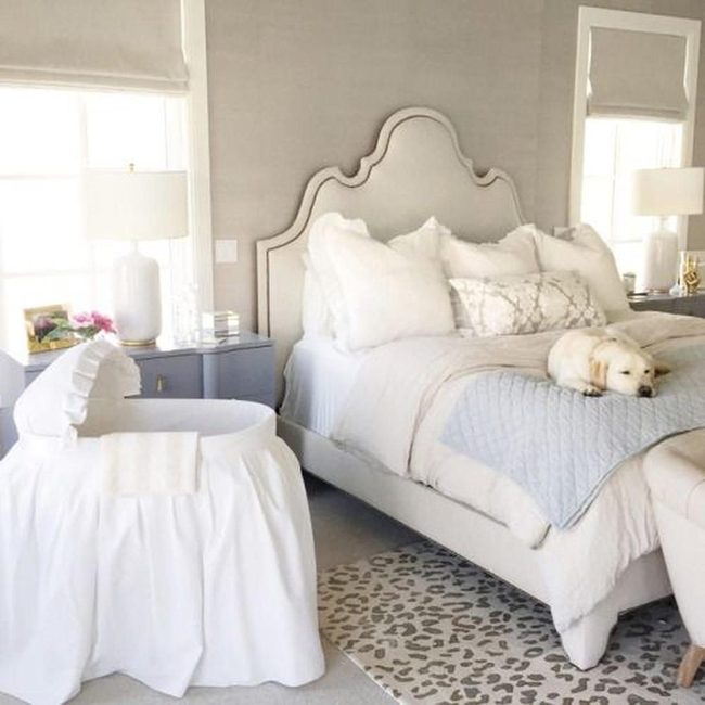 Neutral Sanctuary with Sleeping Companion