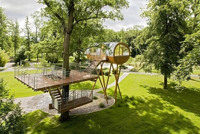 Treehouse Deck Woodland Modern