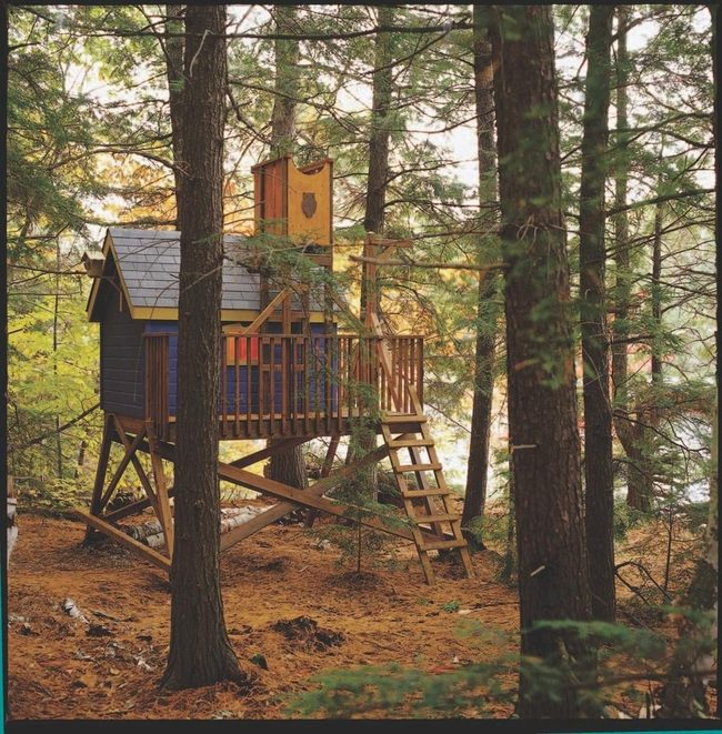 Dark Blue Treehouse With Golden Accents