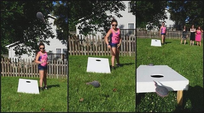 White Cornhole Courts Green Grass