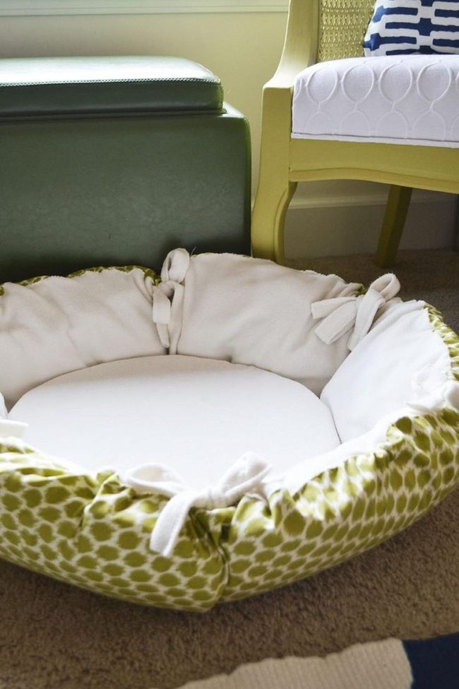 Green Pet Corner With Blue Accents