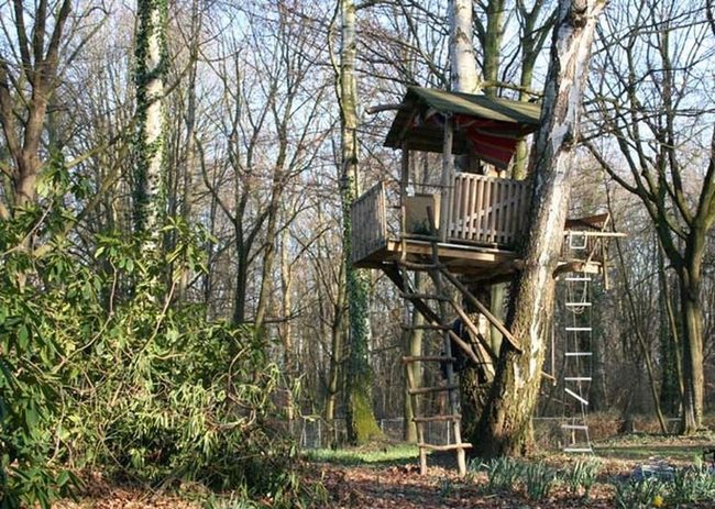 Striped Canopy Wooden Treehouse