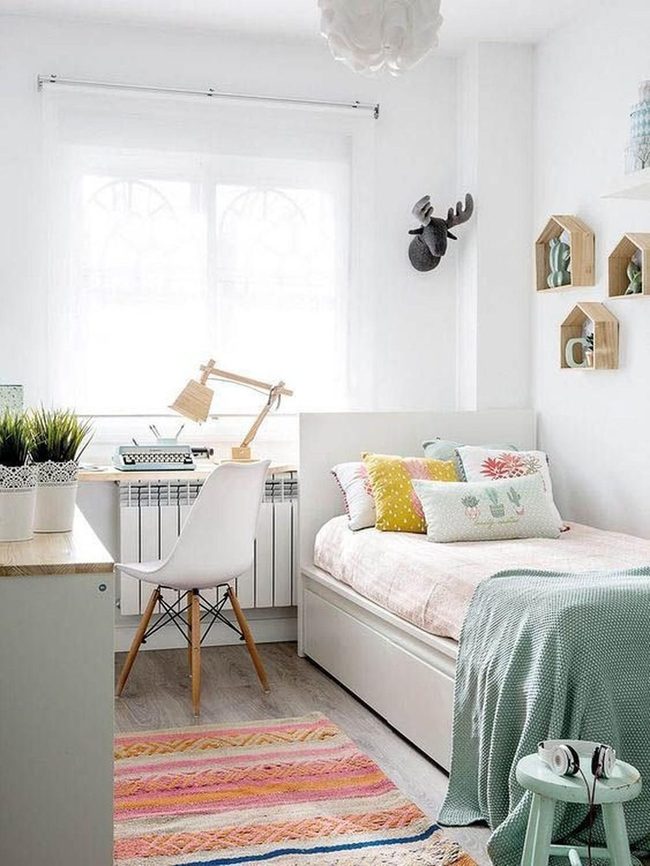Sunlit Room, Wooden Shelves, Plants