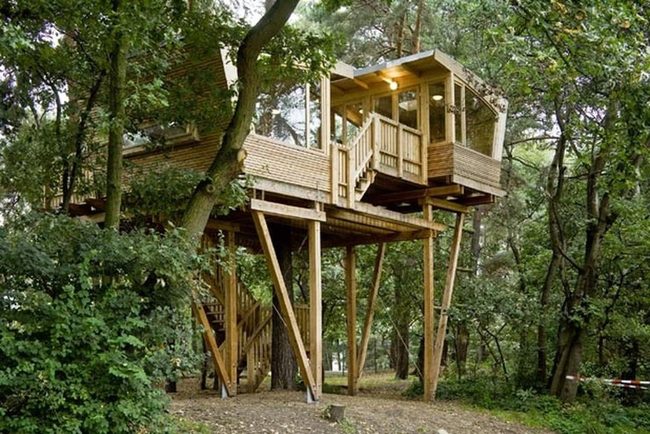 Wooden Treehouse Among Canopy