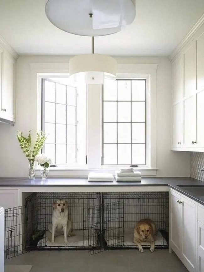 Sleek Laundry With Pet Integration