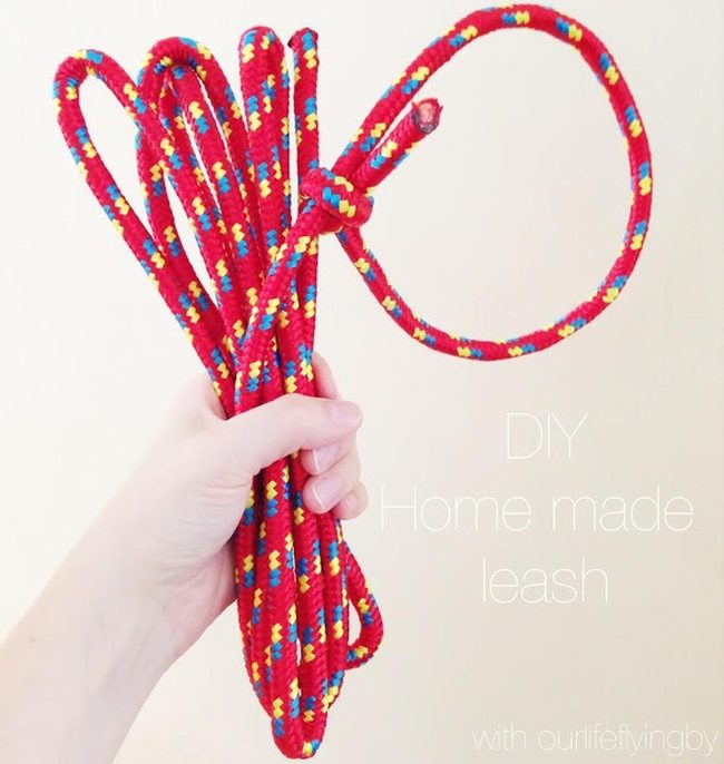 Red Rope Leash With Polka Dots