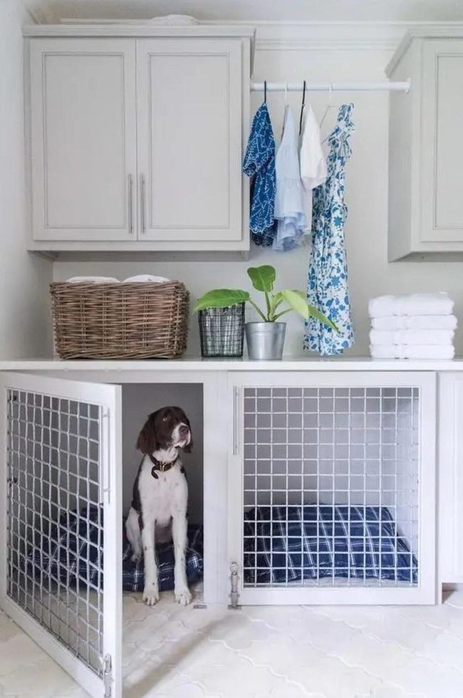 Built-In Dog Crate, Blue Accents