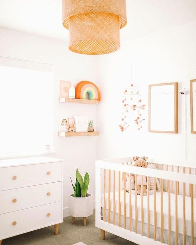 White Walls, Green Plants, Daylight