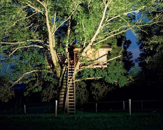 Wooden Treehouse Among Leaves