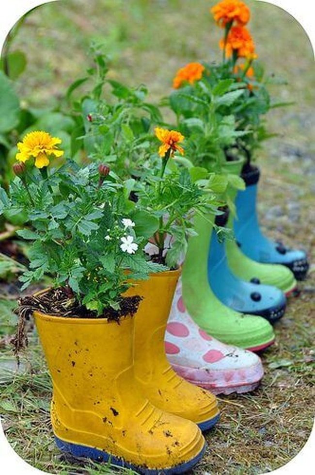 Weathered Boots Hold Blooming Life