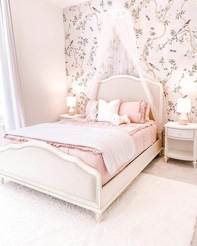 Pink Canopy Bedroom Dreams