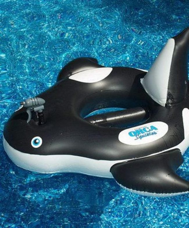 Black And White Orca Float