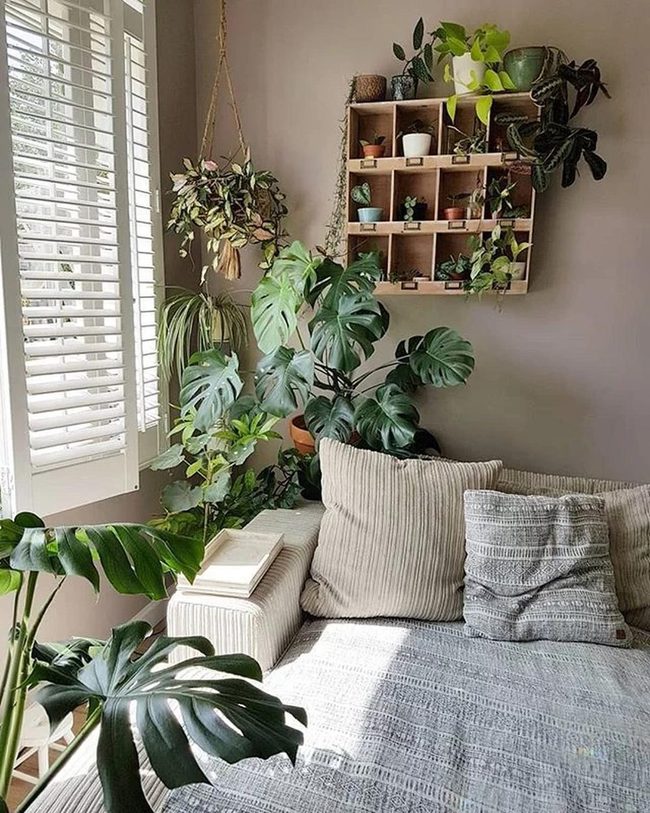 Glossy Monstera Statement Leaf