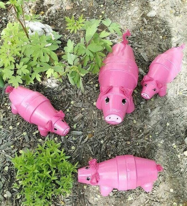 Pink Pig Planters For Growing Minds