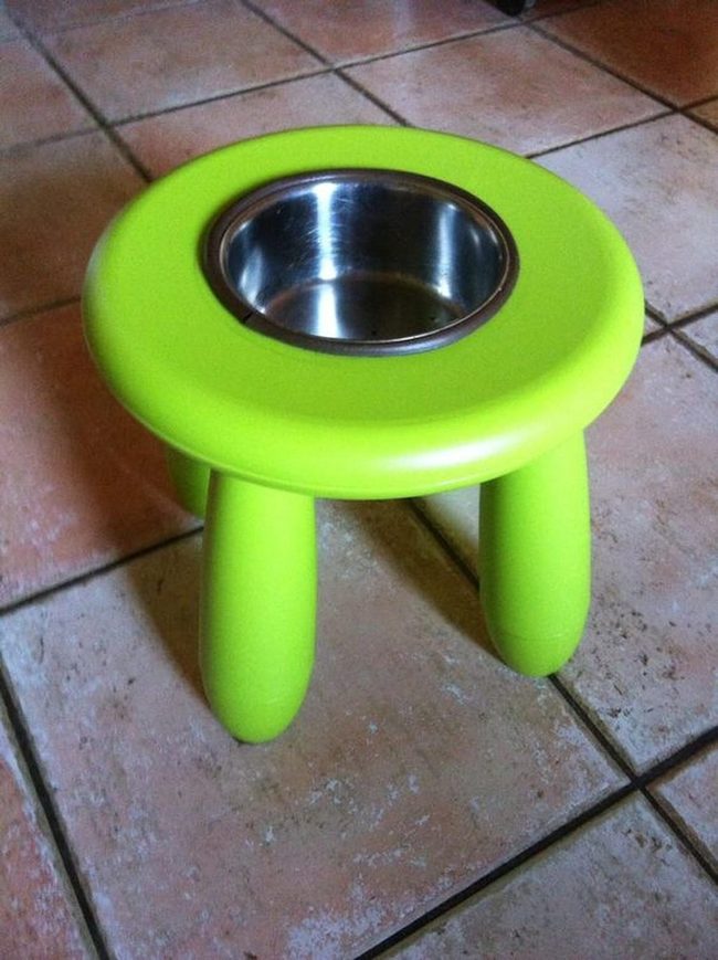 Lime Green Pet Feeder Stool