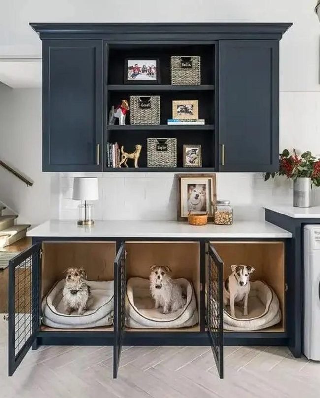 Dark Blue Cabinets, Pet-Friendly Kitchen