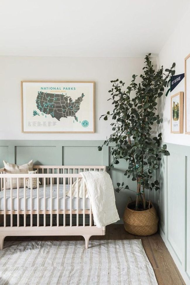 Sage Green Nursery With Living Plants