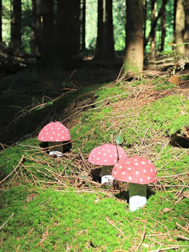 Red and White Spotted Toadstools