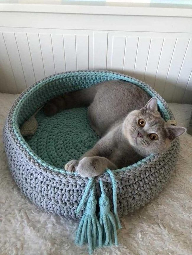 Blue Knit Basket Cat Nook
