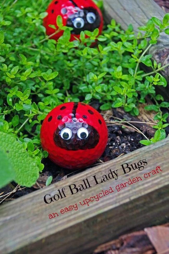 Painted Golf Ball Ladybugs Garden