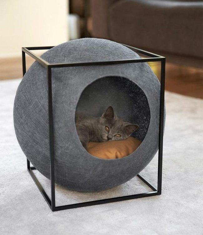 Gray Cat Black Metal Cube