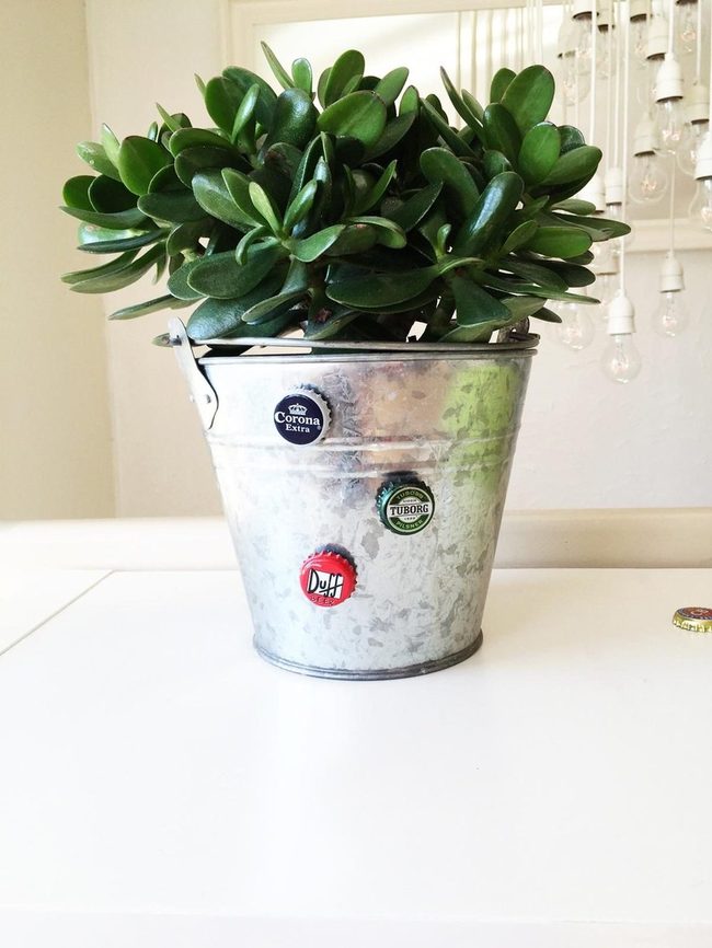 Green Upcycled Bucket Garden
