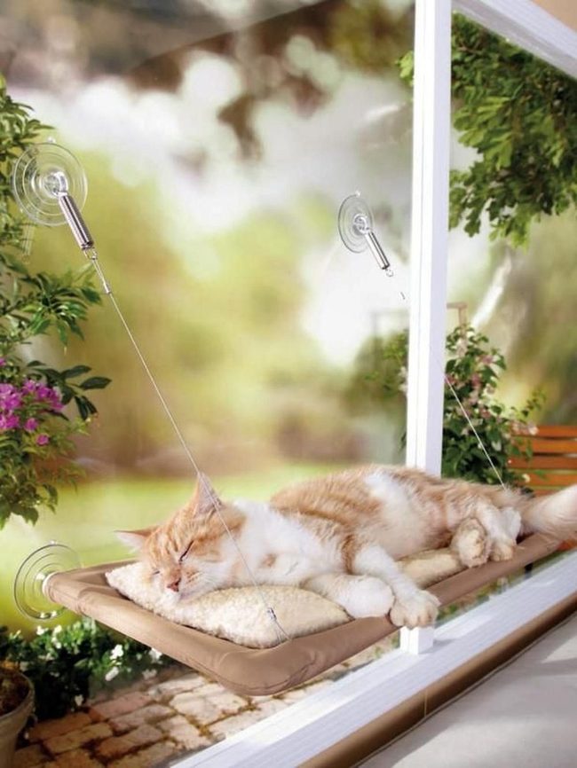 Floating Cat Bed Sunlit Garden