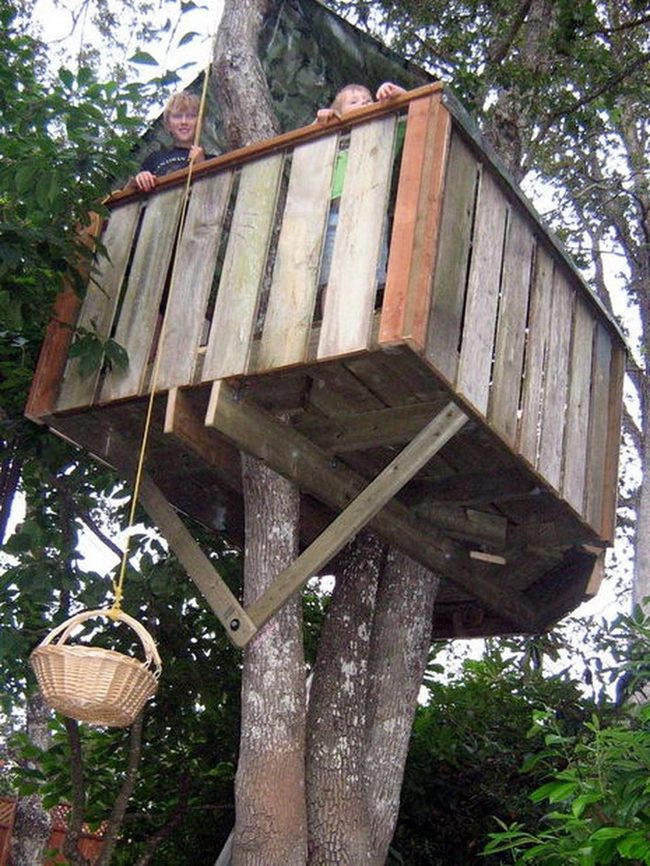 Wooden Treehouse With Rope Basket